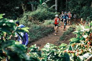 BIB: 
                            <button type="button" onclick="openModal(25853194)" class="btn btn-primary btn-sm float-right btn-popup" data-toggle="modal" data-target=".modal-high-quality">
                        <i class="fas fa-shopping-cart"></i> Add to Cart
                    </button>
                                            <button type="button" onclick="isThisMe(25853194, true)" class="btn btn-success btn-sm float-right btn-popup btn-isme hidden" data-toggle="tooltip" data-placement="bottom" title="นี่คือรูปของคุณใช่ไหม คลิกที่นี่เพื่อเอาเข้าอัลบั้ม">
                        <i class="fas fa-plus"></i> Add to album
                    </button>
                    <button type="button" onclick="isThisMe(25853194, false)" class="btn btn-warning btn-sm float-right btn-popup btn-isnotme hidden">
                        <i class="fas fa-ban"></i> Remove from album
                    </button>